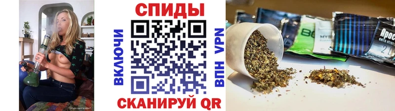 хочу наркоту  блэк спрут tor  БУТИРАТ буратино  Починок 